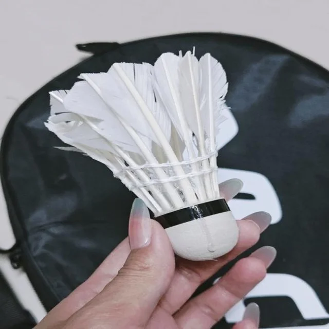 德约科维奇蒙特卡洛首秀精彩表现